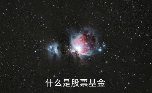 什么是股票基金
