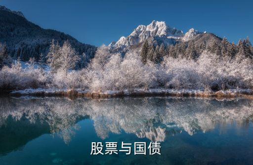 股票与国债