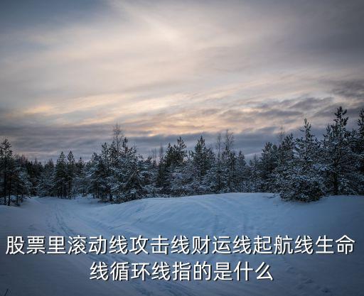 股票猎击线是代表什么，股票里滚动线攻击线财运线起航线生命线循环线指的是什么