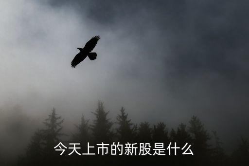 今天上市的新股是什么
