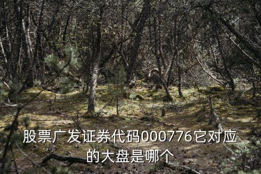 股票广发证券代码000776它对应的大盘是哪个