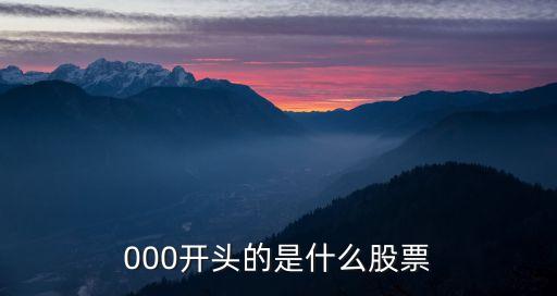 000开头的是什么股票