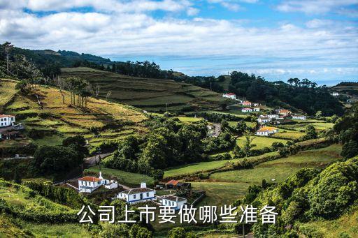 股票发行需要什么准备，公司上市前要做哪些准备工作
