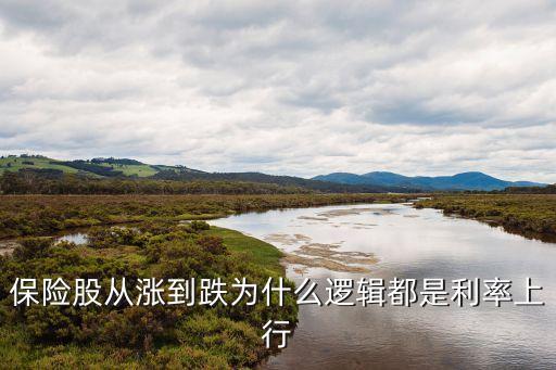 保险股票的上涨逻辑是什么，保险股从涨到跌为什么逻辑都是利率上行