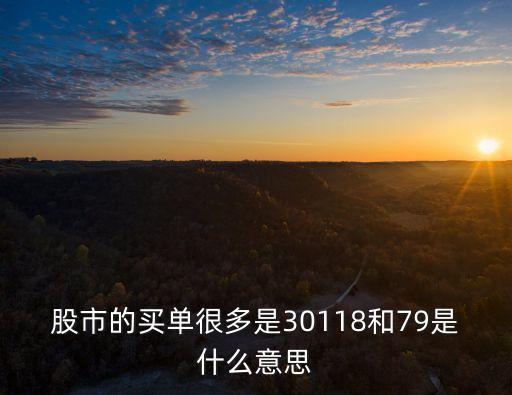 股市的买单很多是30118和79是什么意思