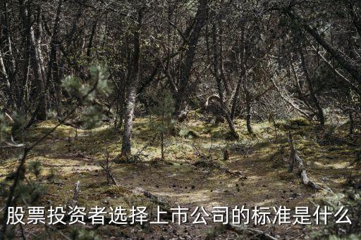 购买股票的公司条件是什么，谁能告诉我买股票要什么条件