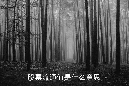 股票流通金额是什么意思，股票流通值是什么意思