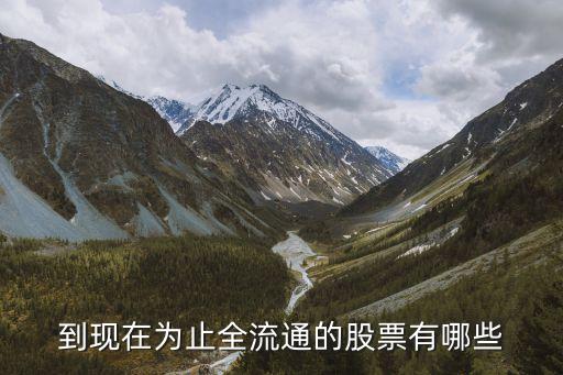 到现在为止全流通的股票有哪些