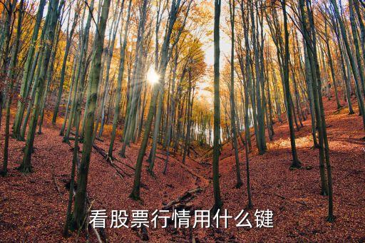股票交易最常用什么键盘，有没有专业的炒股键盘