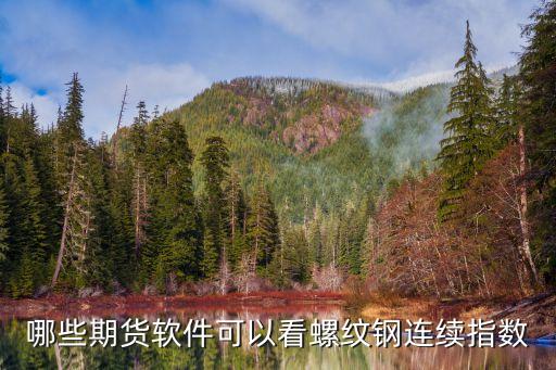 哪些期货软件可以看螺纹钢连续指数