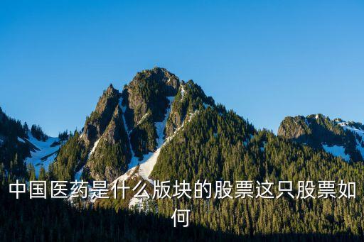 中国医药是什么版块的股票这只股票如何