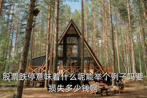 股票跌停意味着什么呢能举个例子吗要损失多少钱啊