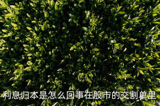 利息归本是怎么回事在股市的交割单里