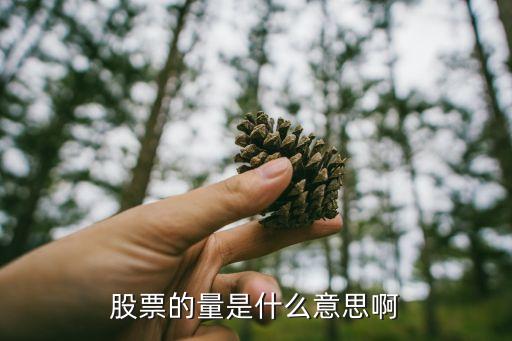 股票的量是什么意思啊