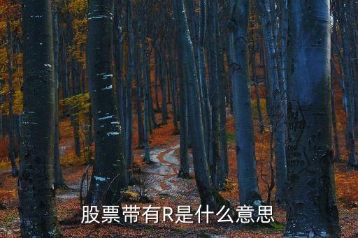 股票带r的什么意思，股票带r是什么意思