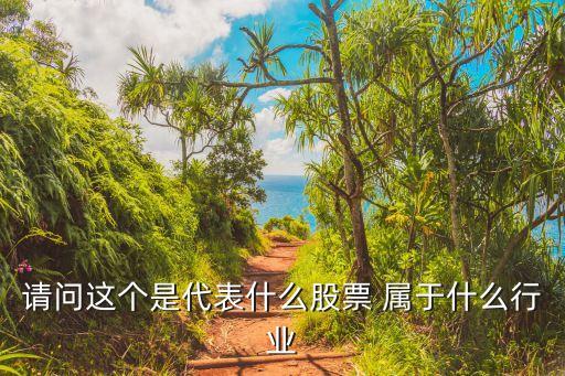 请问这个是代表什么股票 属于什么行业