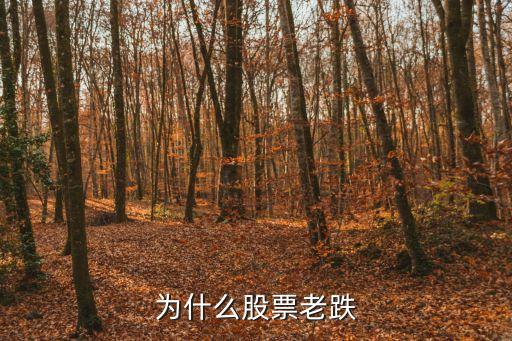 为什么股票老跌