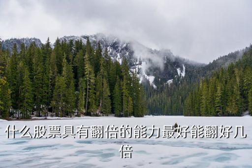 什么股票具有翻倍的能力最好能翻好几倍