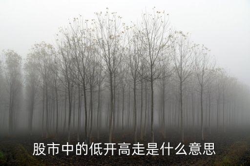 股市中的低开高走是什么意思