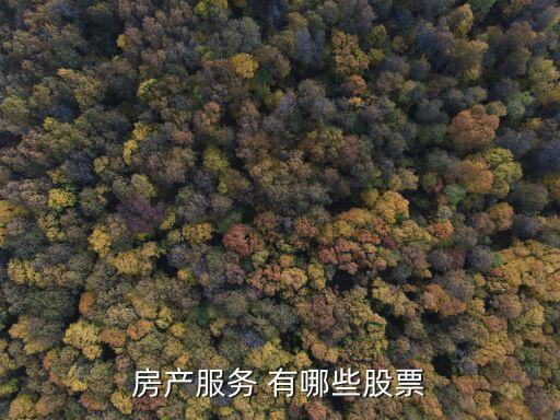 房产服务 有哪些股票