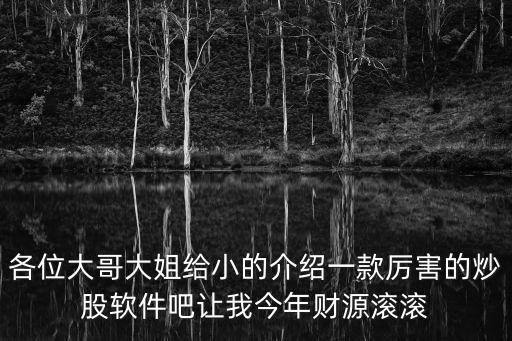 各位大哥大姐给小的介绍一款厉害的炒股软件吧让我今年财源滚滚