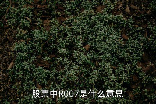 股票中7是什么意思，股票中R007是什么意思