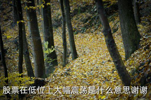 股票在低位上大幅震荡是什么意思谢谢