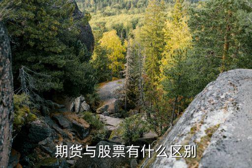 期货跟股票有什么分别吗，期货与股票有什么区别