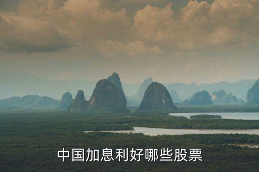 中国加息利好哪些股票