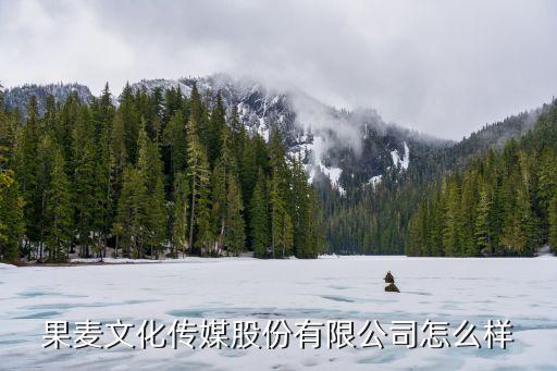 果麦文化传媒股份有限公司怎么样