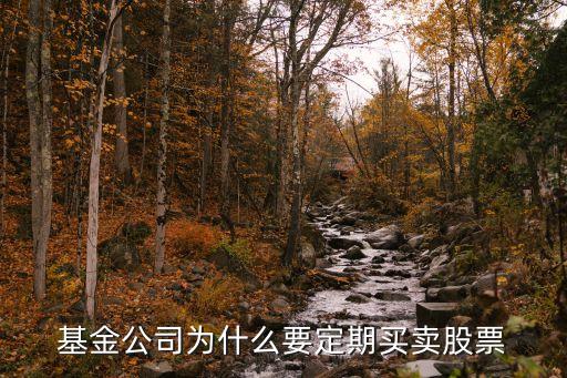 基金公司为什么要定期买卖股票