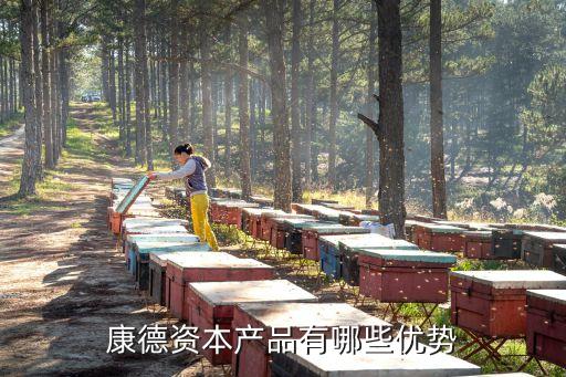 药明康德股票有什么优势，康德资本产品有哪些优势