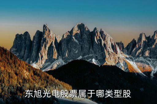 东旭光电股票属于哪类型股