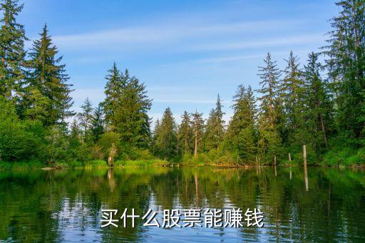近来买什么股票赚钱快，现在买什么股票最赚钱啊