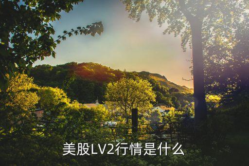 美股LV2行情是什么