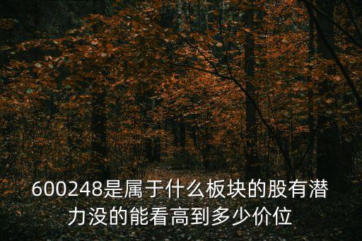 丽臣实业股票是什么板块，600248是属于什么板块的股有潜力没的能看高到多少价位