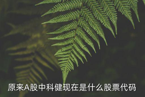 原来A股中科健现在是什么股票代码