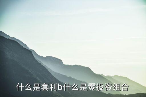 什么是套利b什么是零投资组合