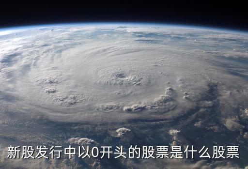什么是0开头的股票公司，0字头股票是什么