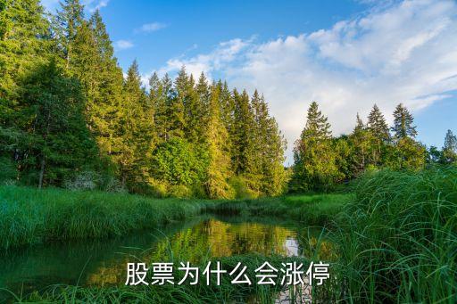 股票为什么有几个指数涨停，为什么股票会有涨停呢
