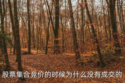 股票集合竞价的时候为什么没有成交的
