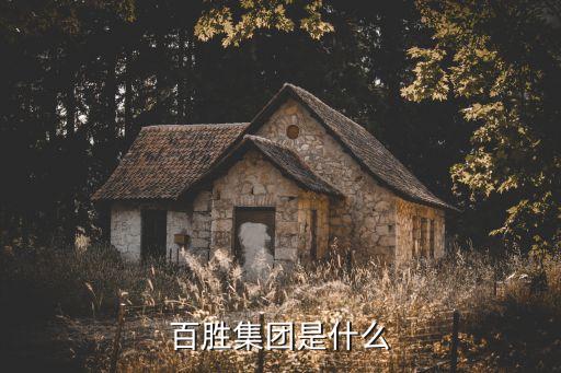 百胜集团是什么