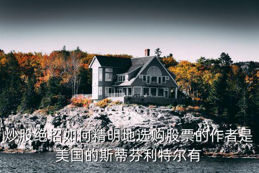 炒股绝招如何精明地选购股票的作者是美国的斯蒂芬利特尔有