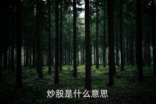 炒股是什么意思
