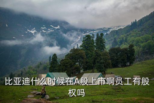 比亚迪什么时候在A股上市啊员工有股权吗