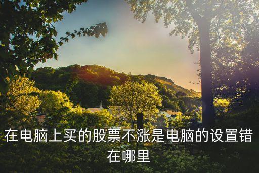 网上买的股票为什么不涨，为什么股票不涨