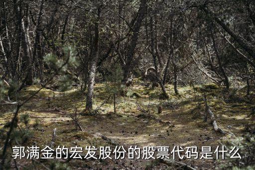郭满金的宏发股份的股票代码是什么