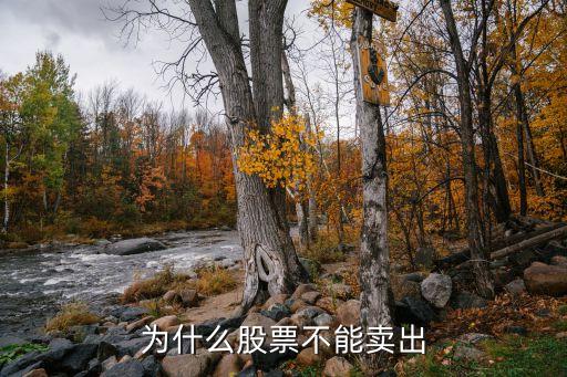 为什么有些股票上市不能卖，股权上市为什么卖不出去