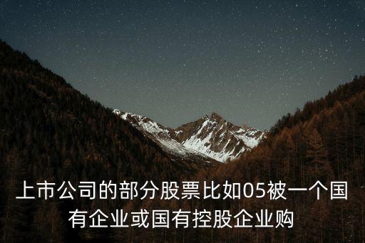 上市公司的部分股票比如05被一个国有企业或国有控股企业购