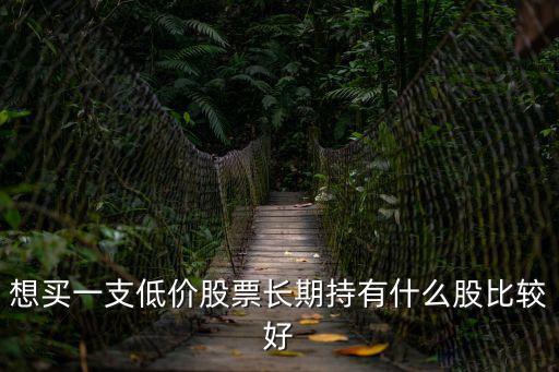 想买一支低价股票长期持有什么股比较好